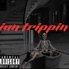 Ian Trippin