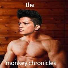 The monkey chronicles - Skater Boy - (Steve cover)