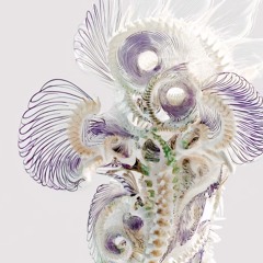 Celestial