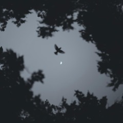 Descent
