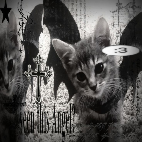 nada mas (speed up version)