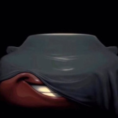 cat food snippet (144hrxxz mix)