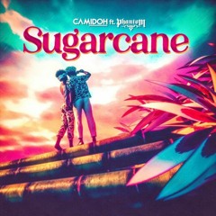 Sugar Cane - DJ SNOX & Camidoh (REMIX)