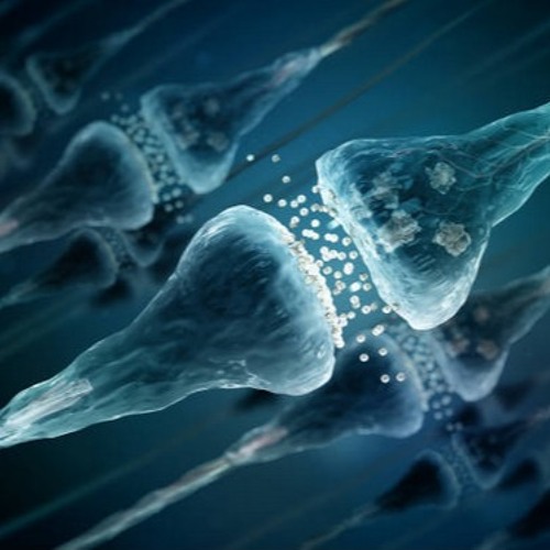 Synapse