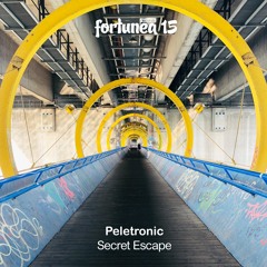 PREMIERE: Peletronic -  My House Is Your House (Jon Gravy Remix) [forTunea]