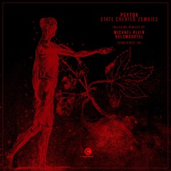 Psytox: Safety In Numbers (Original Mix)
