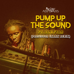 Pump up the Sound (Professor Skank Remix)