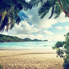 Tropical Summer Vibes Vol 2 Kompa Gouyad