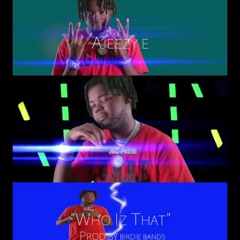 WHO IZ THAT (prod. birdie bands)