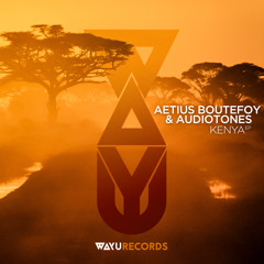 Premiere: Aetius Boutefoy & Audiotones - Kenya [WAYU Records]