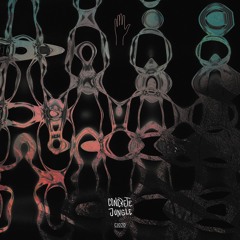 Diereva - The Other Thing (Original Mix)