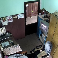 Day (Alt) - No, I'm Not a Human