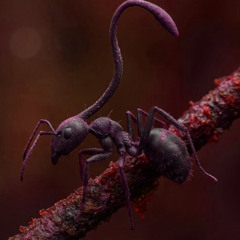 Fresh Produce 203 - Antsane in the Membrane (3/3)