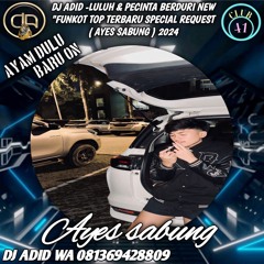 DJ  ADID  -''LULUH &   PECINTA BERDURI NEW'FUNKOT  (AYES SABUNG)2024.mp3