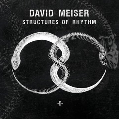 David Meiser - Dance. Move. Repeat.