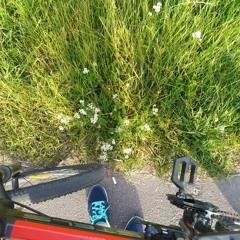 What Am I Doing Wrong?