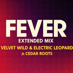 Fever (Extended Mix 2026)