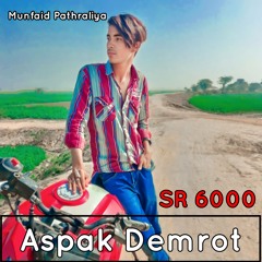 Sr 6000 Aspak Demrot