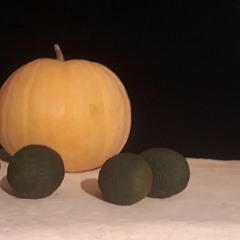 12 - VERYINTRODUCTION - Donhauser,tp,korg,voc - Bühlmann,dr,sax - Mautner,synth,voc