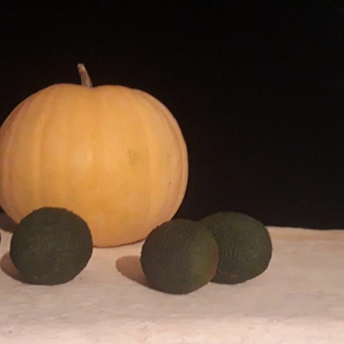 12 - VERYINTRODUCTION - Donhauser,tp,korg,voc - Bühlmann,dr,sax - Mautner,synth,voc