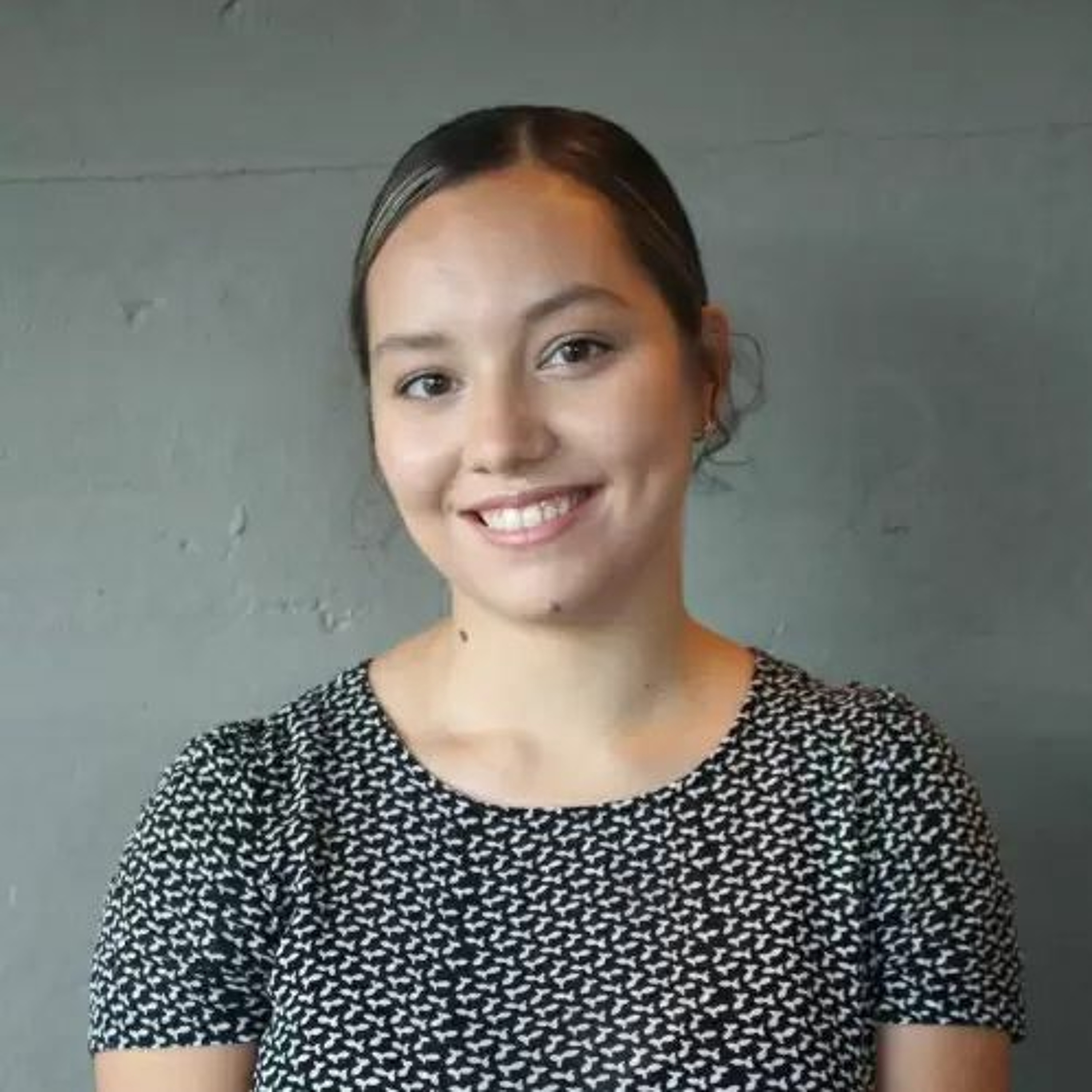 North Liberty Library