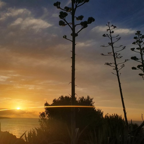 Tales From The Dreamtime // 004