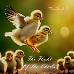 The Flight Of The Chicks