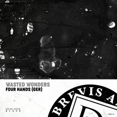 Four Hands (GER) - Wasted Wonders (Original Mix)