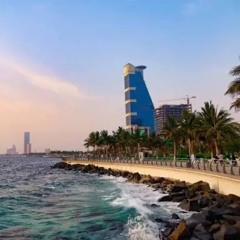 Desert Rose of Jeddah I