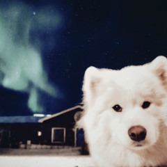 Girl With A White Face