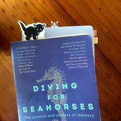 Diving For Seahorses