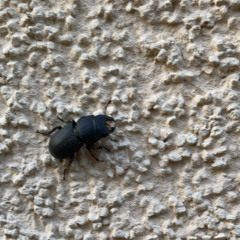 newer_new_less_8-bit_repairbetter_2