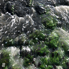 Destrata - What Dreams Are Made Of