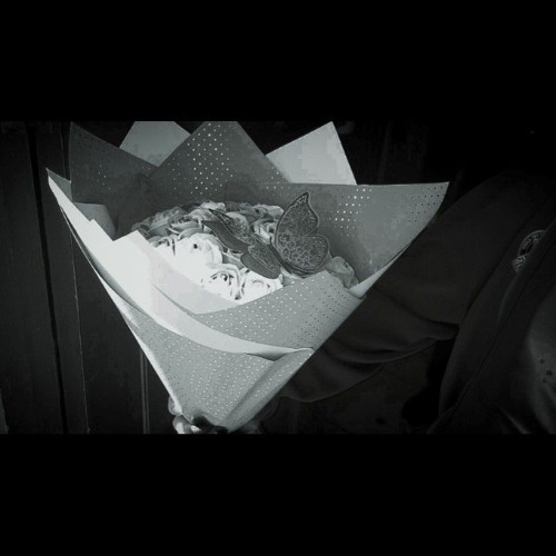 Perfume - Many Errors