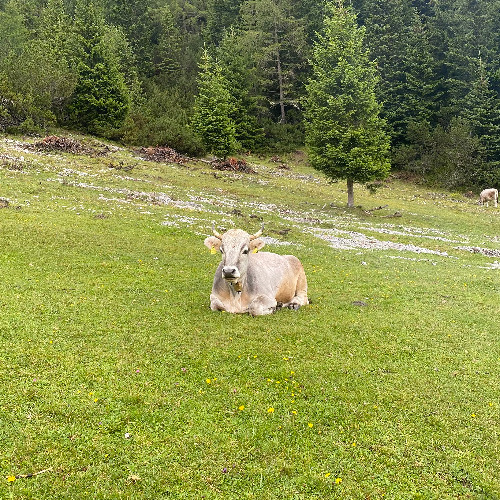 Rougail Space Program (09.10.25)