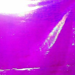 LA COMPUTADORA NO PUEDE EXPLICAR LA NATURALEZA DE LA HUMANIDAD