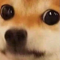 100 грибов - Crime & Showmemad