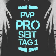 PVP pro seit Tag I,- ft. Knister K. -TarkovMaxe,- [bass boosted]