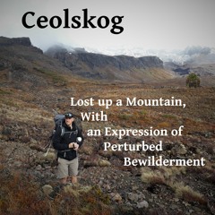 Rock And Roll Girls (John Fogerty Cover)