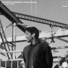 TAU013 Paluma Sound - The Artful Universe on n10.as