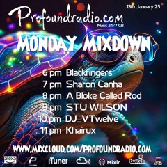 #267 Profound Radio Progressive House @djstuwilson