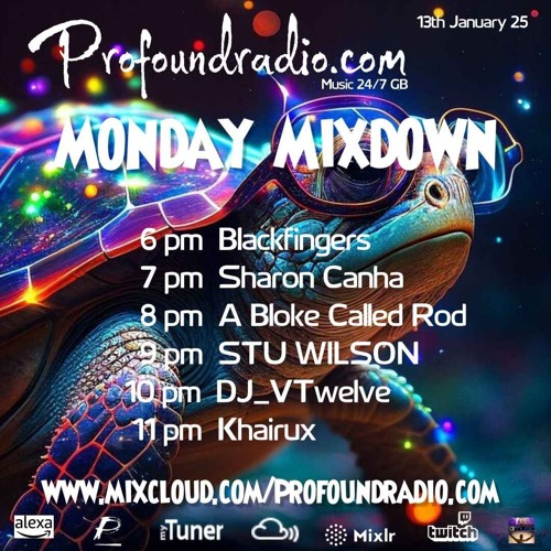 #267 Profound Radio Progressive House @djstuwilson
