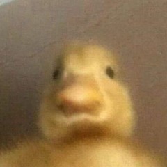 my brain at 2am