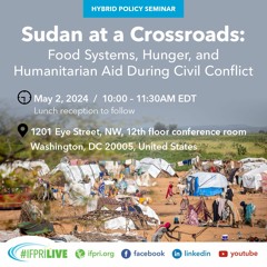 Sudan at a Crossroads: Food Systems, Hunger, and Humanitarian Aid During Civil Conflict