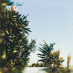 the beach