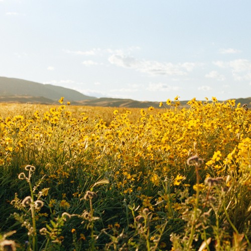 finding it, that's not the hard part... it's letting go