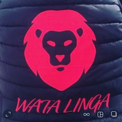 Mi Mwen - 04:03:2021 13.40_projet 134