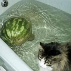 alien friend has to leave