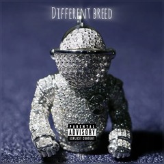 Different Breed Ft. Hundo