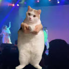 That Good Stuff: House Edition